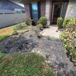 Landscape & lawn care