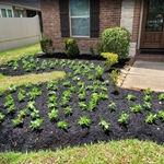 Landscape & lawn care
