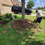 Planting, mowing, trimming, mulch and cleanup