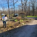 before/after lawn