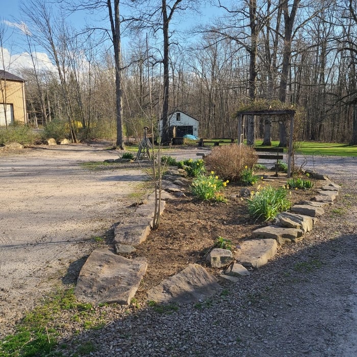 before/after lawn
