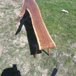 Our work