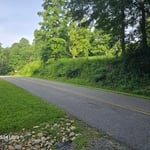 Lawn Care & Clearing
