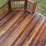 Pressure treated pine.