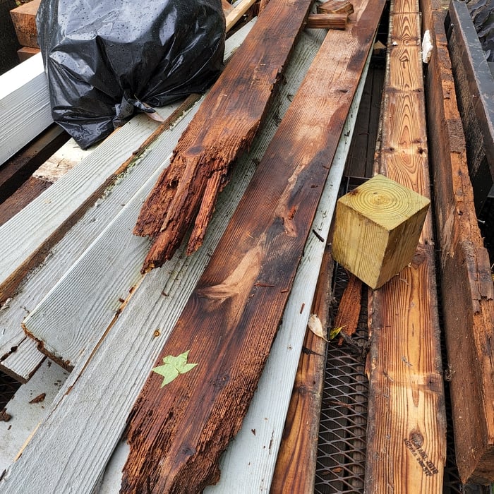 Damaged joist that we removed and replaced