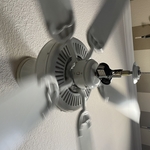 ceiling fan Replacement