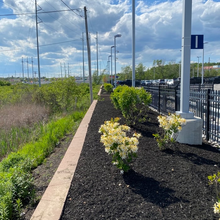 Garden Beds in Portland, ME at CarMax