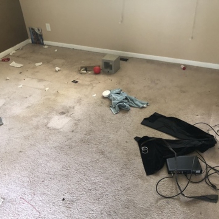 Clean out entire home