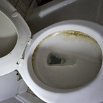 TOILET BOWL