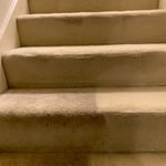 Carpet Cleaning