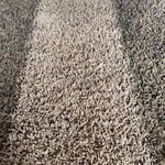 Carpet Cleaning
