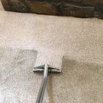 Carpet Cleaning