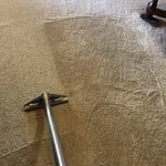 Carpet