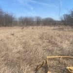 Pasture Mowing
