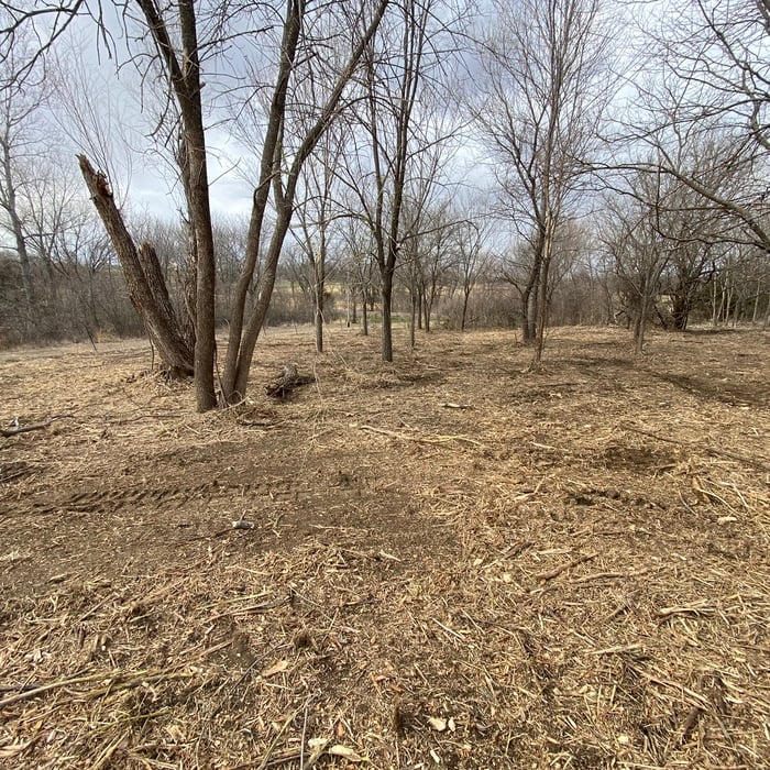 Cleared Area - 1