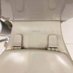 Toilet Detail