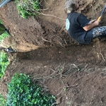 Water or Sewer Main installs or replacements
