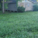 Mowing