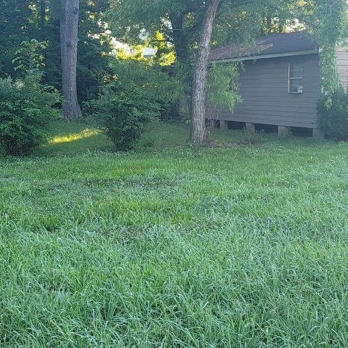 Mowing