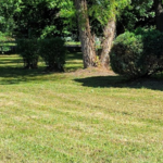 Mowing