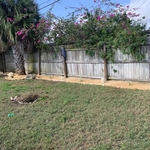 Coquina Landscaping
