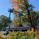 2 The T Tree Service LLC