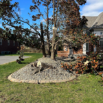 2 The T Tree Service LLC