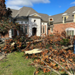 2 The T Tree Service LLC