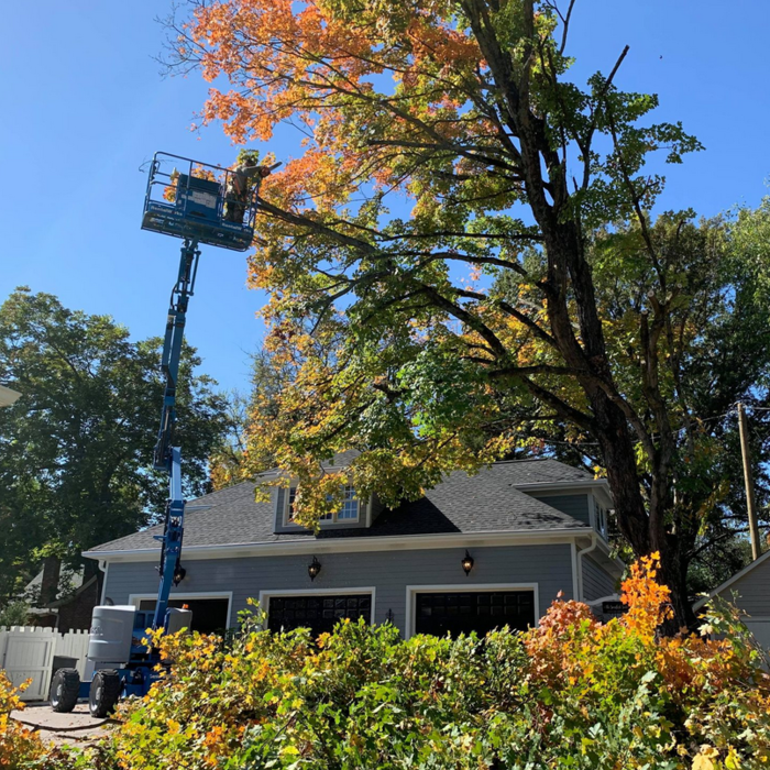 2 The T Tree Service LLC