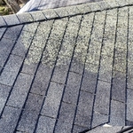 Roof Cleaning Projects