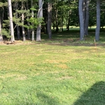 One month after seeding