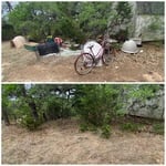Before & After