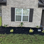 Lawn and Flowerbed work