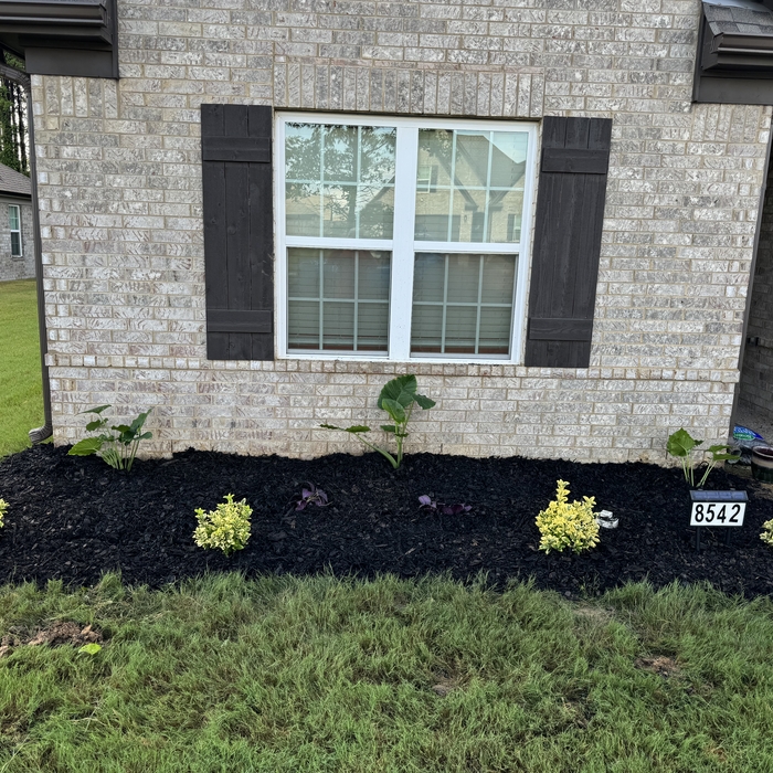 Lawn and Flowerbed work