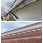 Gutter Mold Removal