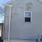 House Mold Removal and Clean