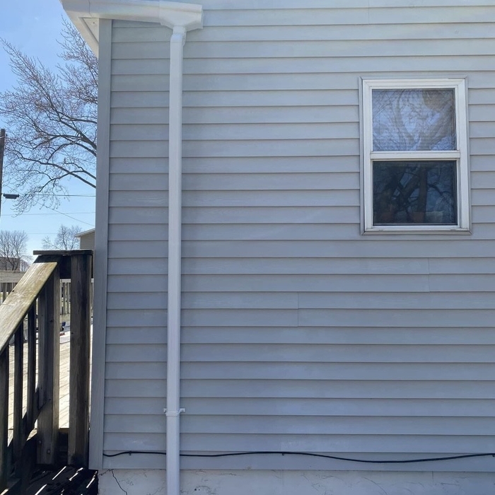House Mold Removal and Clean