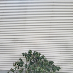 Vinyl Siding