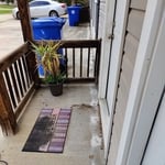Drilling for Termites