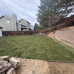 New landscaping