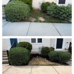 Before & After