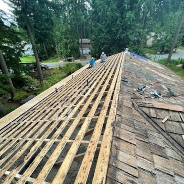 Roof