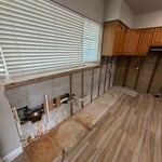 Mold Remediation