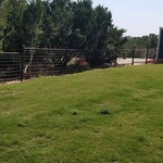Pipe fence