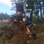 Stump Removal