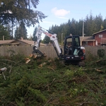 Land Cleanup