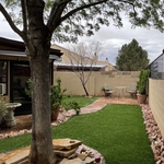 Complete yard remodel