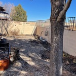 Complete yard remodel