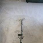 carpet cleaning