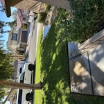 Lawn care